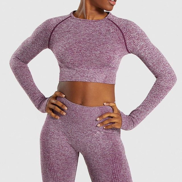SeamFit Shirt and Leggings Set