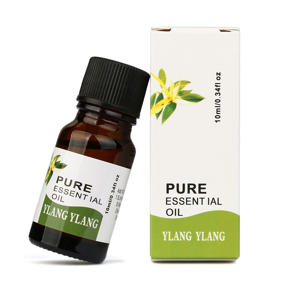 Essential Oils for Relaxation and Aromatherapy